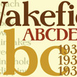 Wakefield™