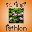 Spring Fashion JNL