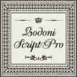 PF Bodoni Script Pro™