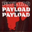 Payload