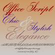 Office Script DT