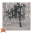 EF Braille Extended™
