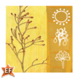 EF Imagination Flowers™
