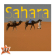 EF Sahara™
