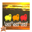 EF Textile Pi™