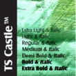 TS Castle™