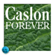 Caslon SB™