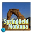 Springfield SB™
