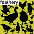 Feathery