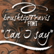 BrushtipTravis