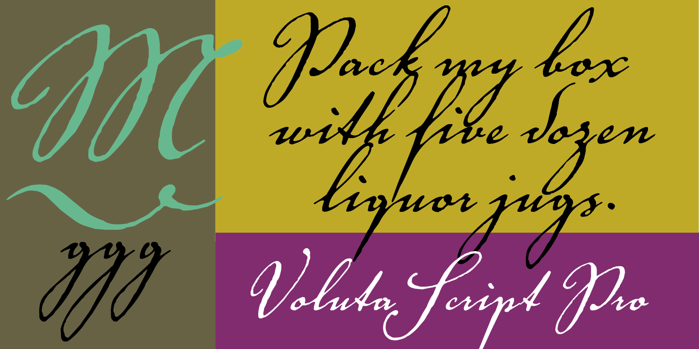 Voluta Script®