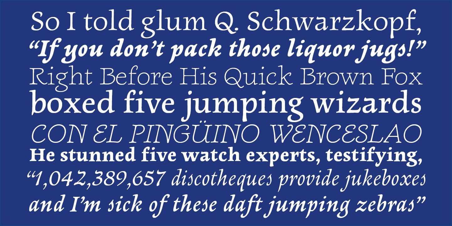 Newt Serif
