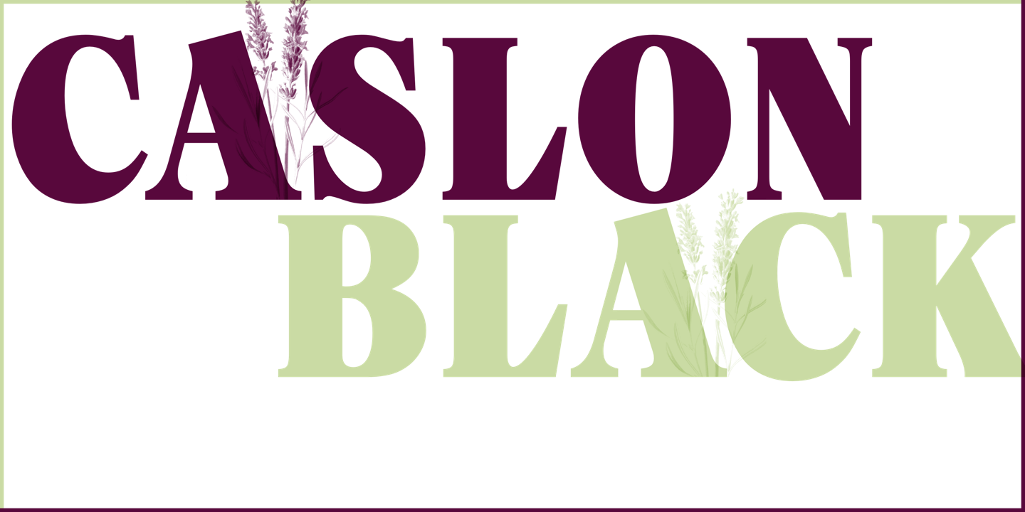 Caslon Black