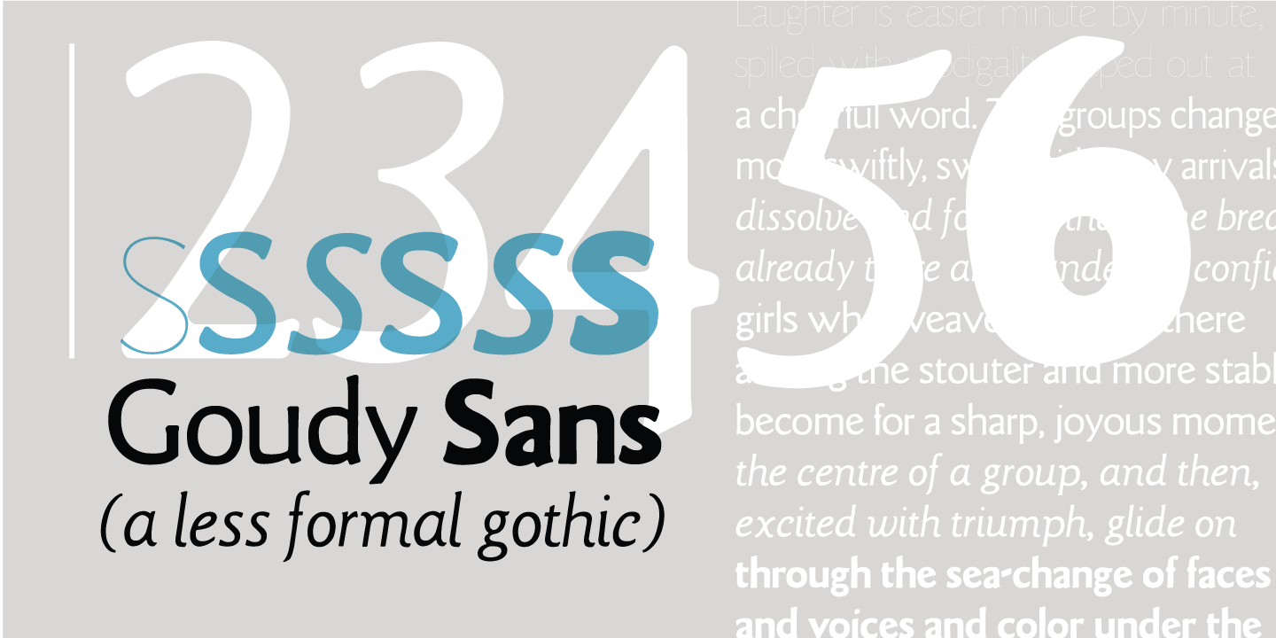 LTC Goudy Sans™
