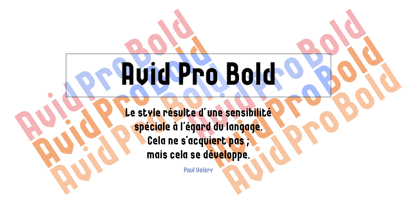 Avid Pro