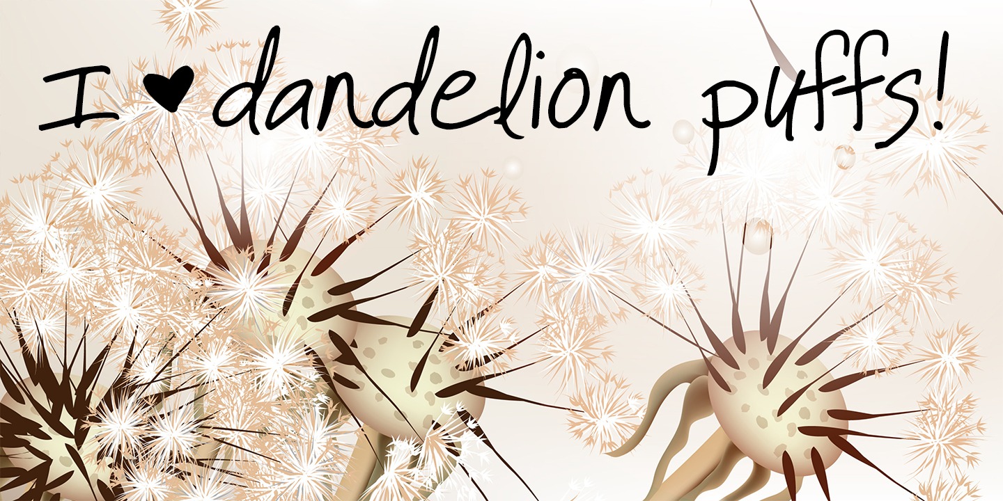 It Aint Rocket Science Pro