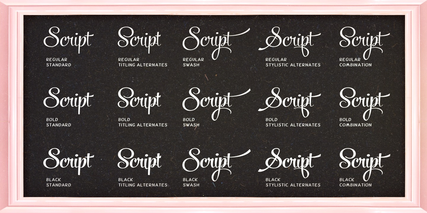 Powder Script