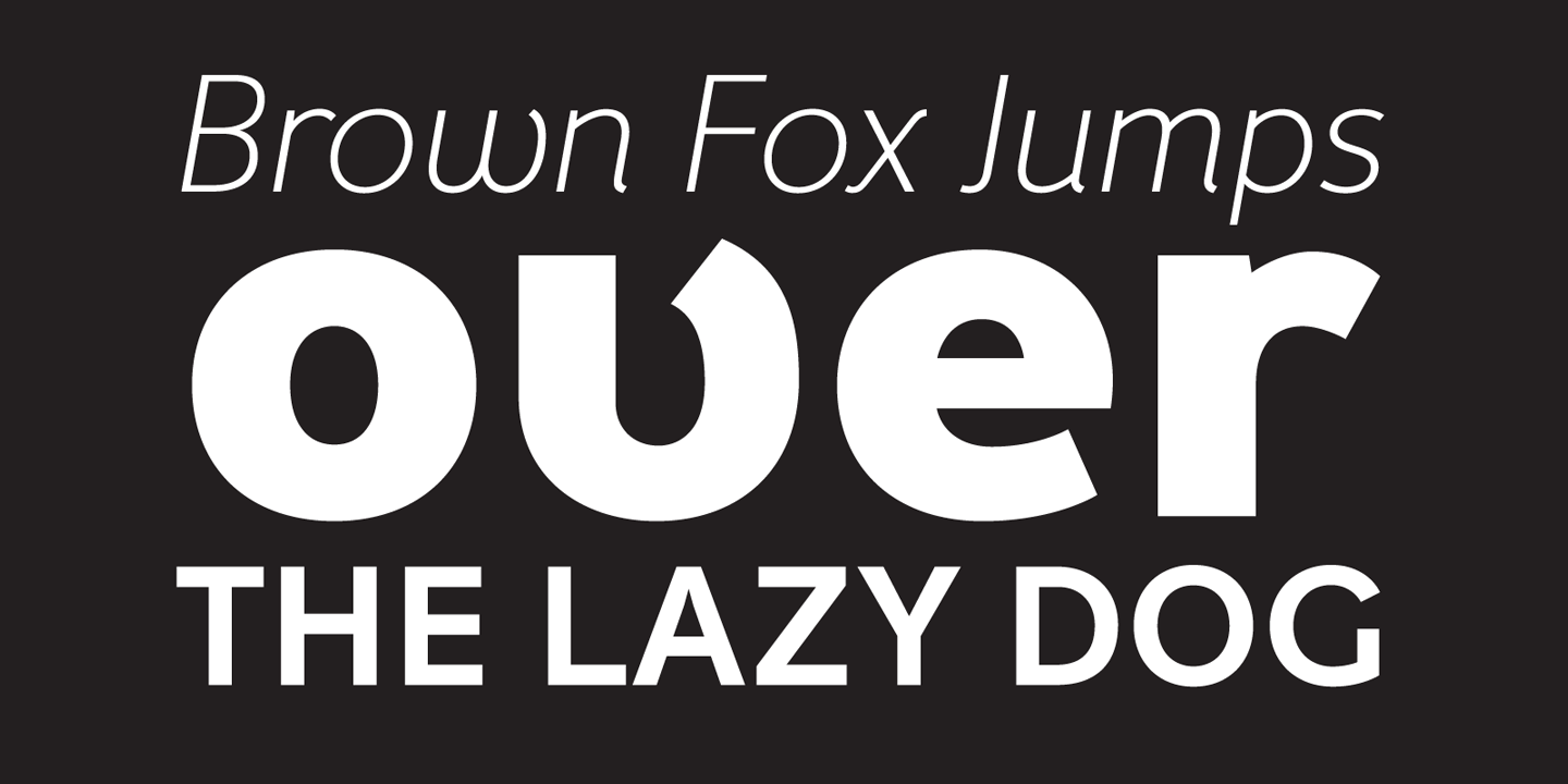 Fox Grotesque Pro