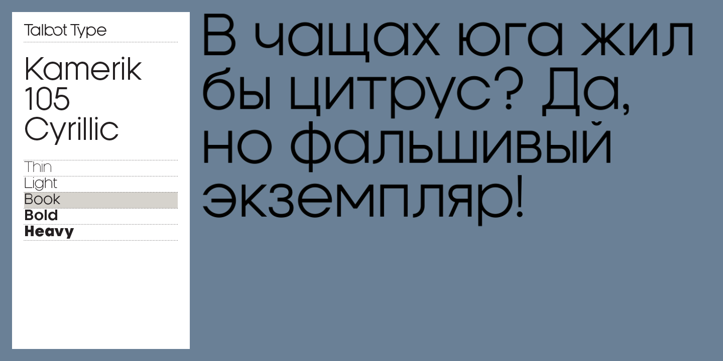 Kamerik 105 Cyrillic