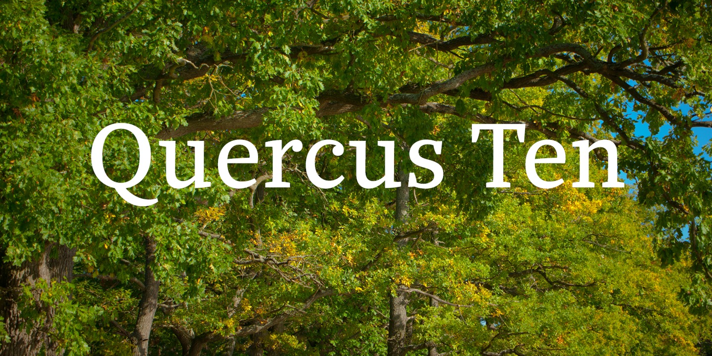 Quercus 10™