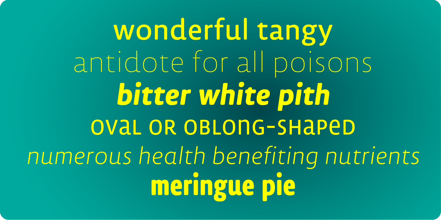 TD Lemon Sans Rounded