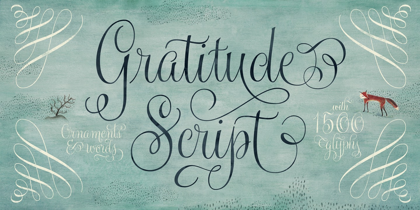 Gratitude Script