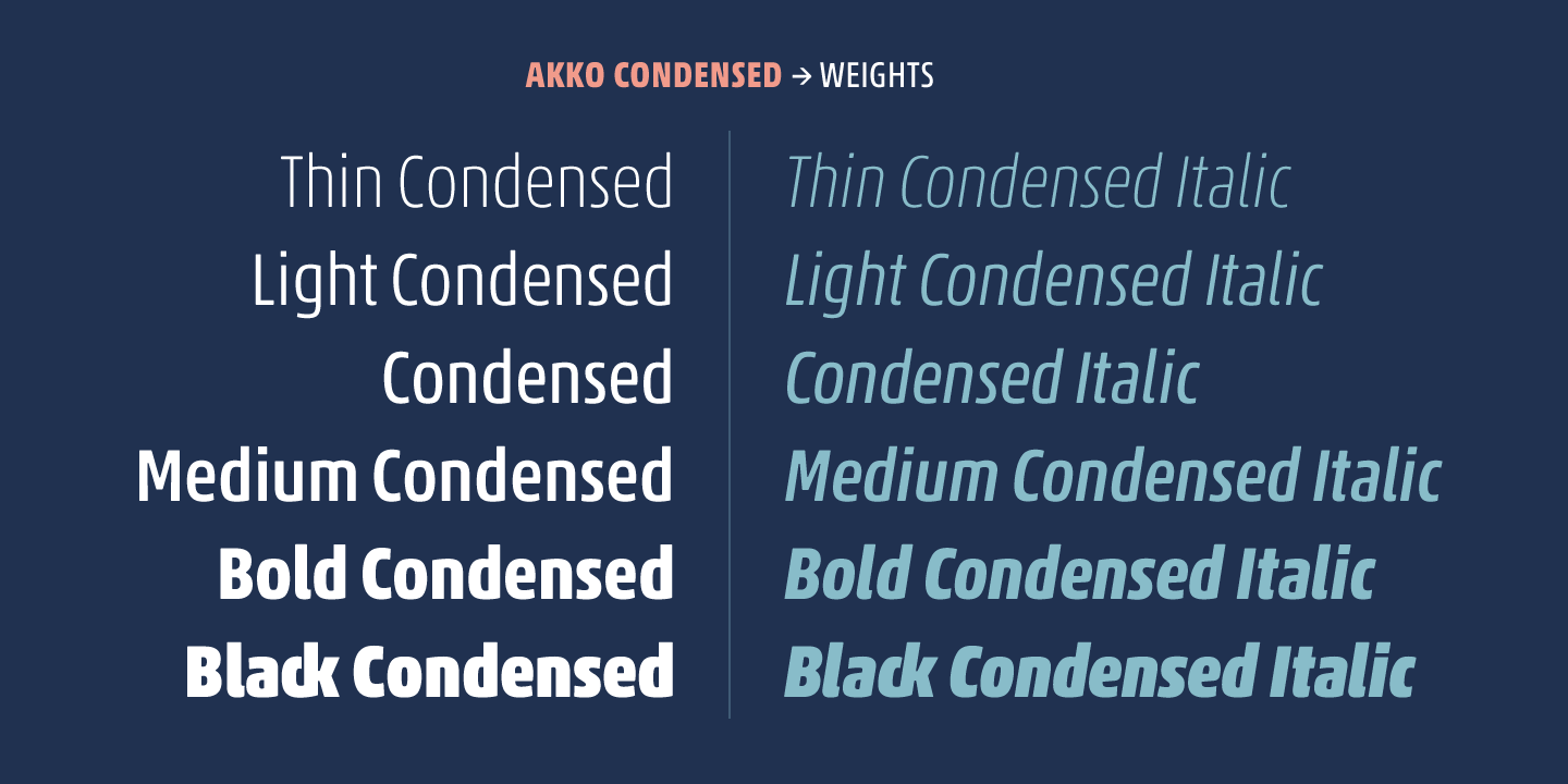 Akko Pro Condensed™