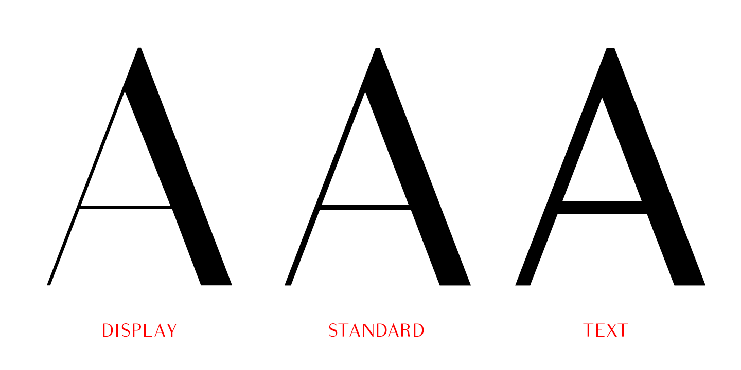Bodoni Sans