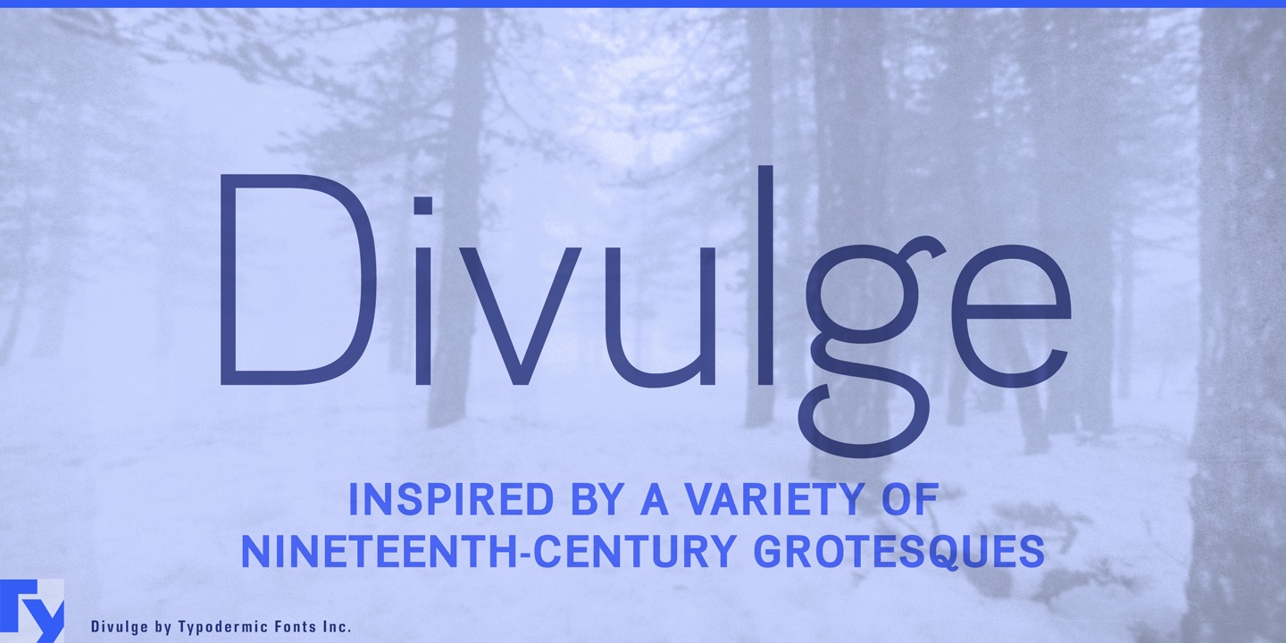 Divulge
