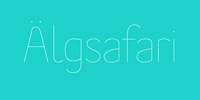 Älgsafari