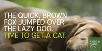 Get a Cat by Ryan Ford