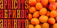 Apricots by Jason Castle