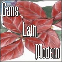Gans Modern