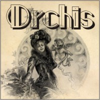 Orchis