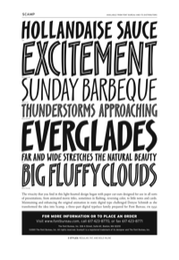 Scamp Specimen PDF by Font Bureau