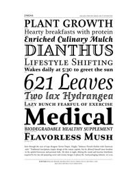 Zingha Specimen PDF by Font Bureau