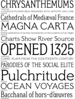 Meyer Two Specimen PDF by Font Bureau