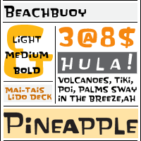 Beachbuoy