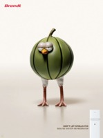 Brandt ad