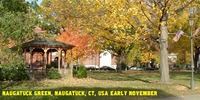 Naugatuck Green