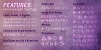 Features