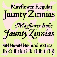 P22 Mayflower