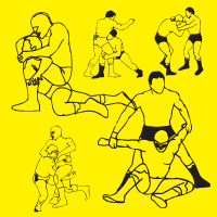 flag
