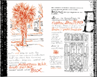 Not Caslon 6 by Zuzana Licko