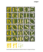 Sattler Initials / multicolor