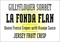 Emigre Modula Serif