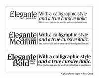 Elegante by Ray Cruz by Ray Cruz