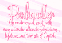 Panhandler