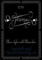 DSType: Pluma 2