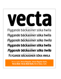 Vecta Brochure by Robbie de Villiers